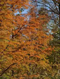 原圖直出的地方終於找到了附路線攻略