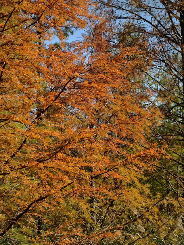 原圖直出的地方終於找到了附路線攻略