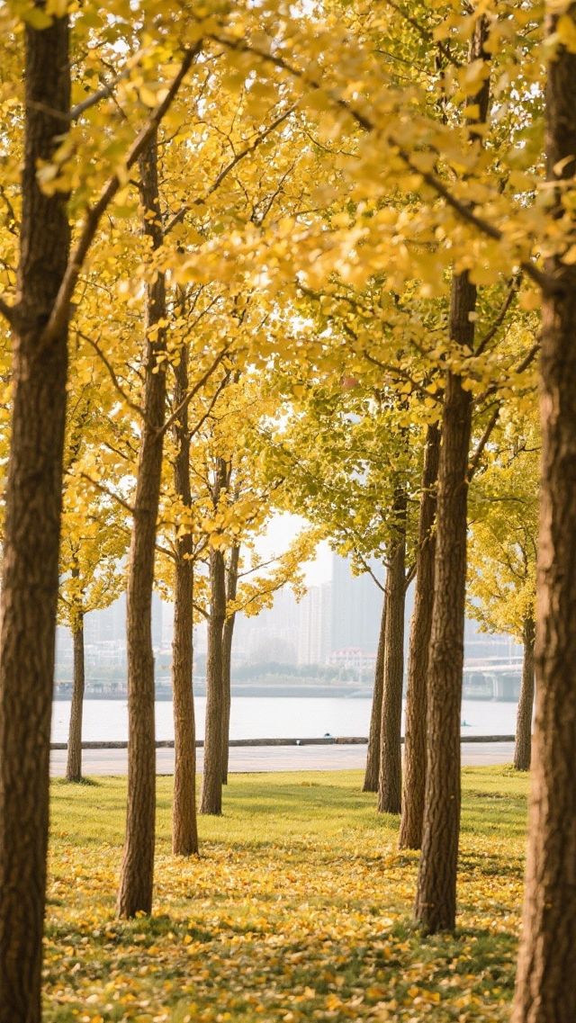 深秋暴走上海｜我在魔都最靜的30天找到人間煙火