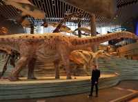 Самый красивый Шанхайский музей природы 🦖🇨🇳