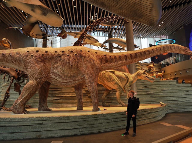 Самый красивый Шанхайский музей природы 🦖🇨🇳