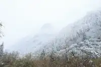 跟我們德陽出發每週去野吧！