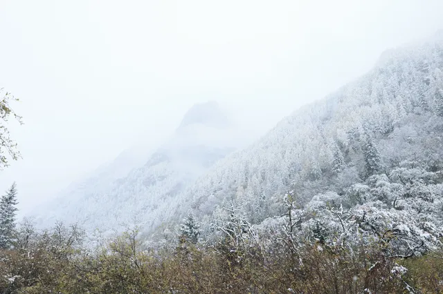 跟我們德陽出發每週去野吧！