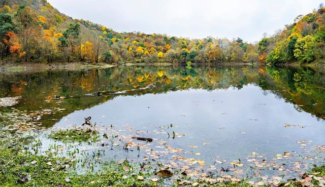 初冬的拖烏山,美得像一場不願醒來的夢 初冬的拖烏山,美得像一場不願醒來的夢