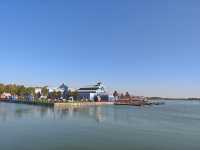 隱匿的星願：在喧騰樂園邊，找到一片濕地