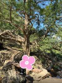 浙江諸暨走馬崗徒步｜小眾秘境人少景美