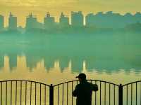 梧桐金雨絕絕子！世紀公園秋日限定攻略