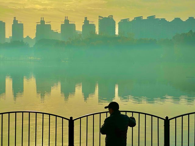 梧桐金雨絕絕子！世紀公園秋日限定攻略