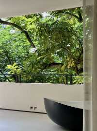 房間很大，酒店很小｜住進西雙版納的熱帶雨林裡度假