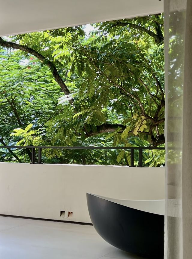 房間很大，酒店很小｜住進西雙版納的熱帶雨林裡度假