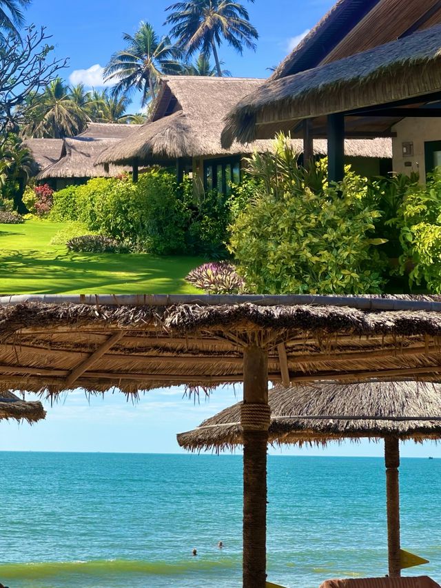 避世美奈,綠洲仙境 避世美奈,綠洲仙境