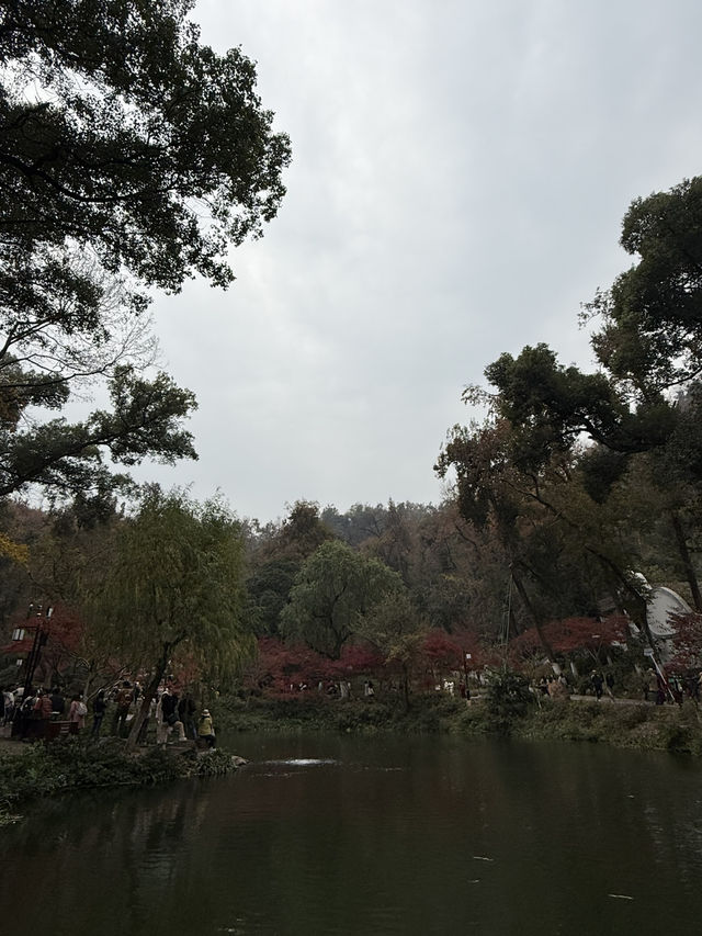 長沙 / 岳麓山景區 長沙 / 岳麓山景區