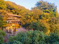 常熟虞山古城牆|漫步城牆邂逅絕美日落!私藏秋日神仙機位