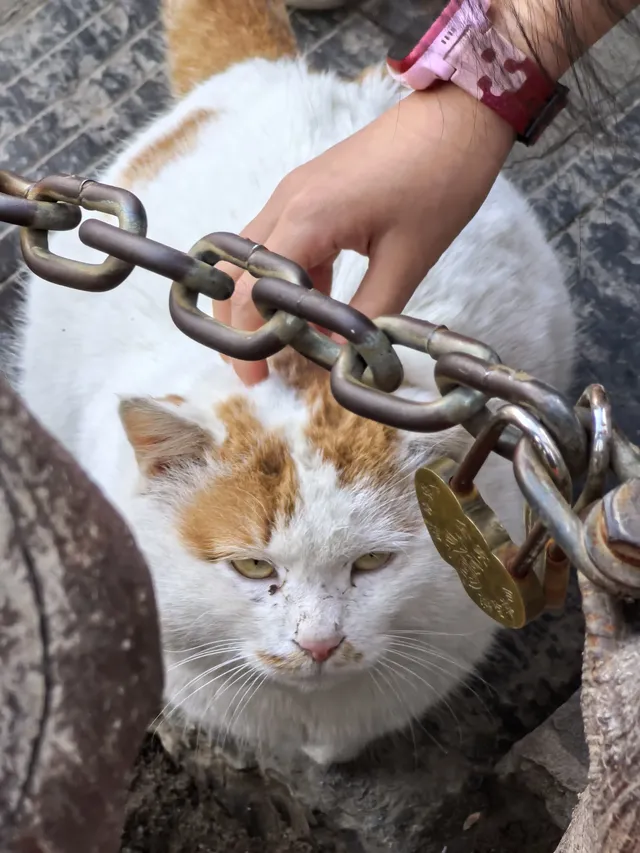 南五臺山保姆級攻略(11.23實拍) 南五臺山保姆級攻略(11.23實拍)