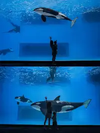 長隆飛船樂園跟拍太絕了每張都像電影