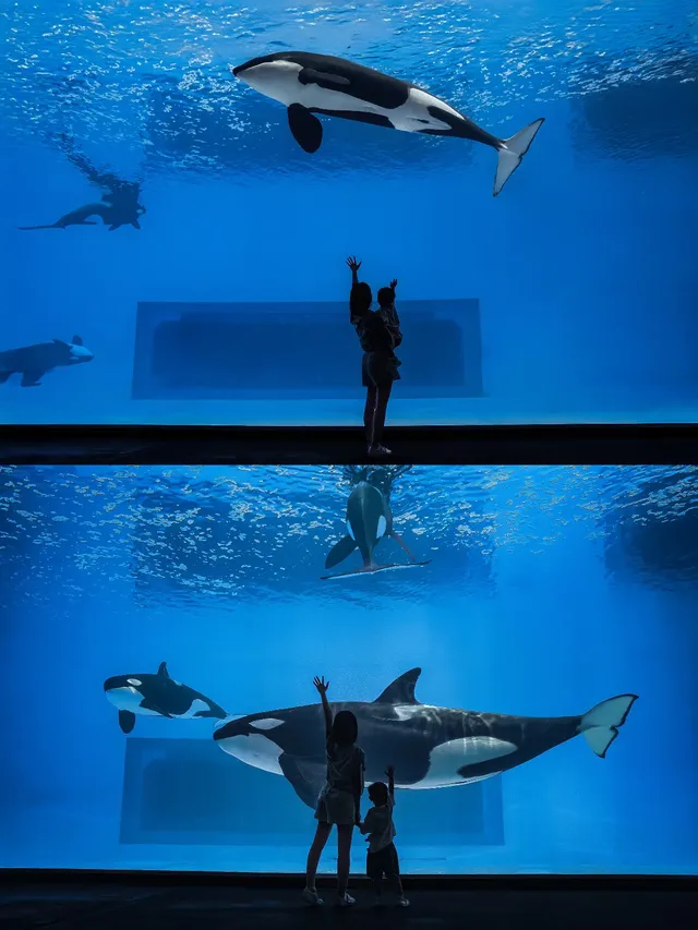 長隆飛船樂園跟拍太絕了每張都像電影 長隆飛船樂園跟拍太絕了每張都像電影