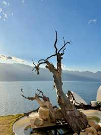 小屋是不是很有童話感！！