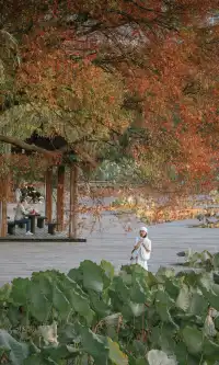 溫嶺錦屏公園,秋天的氛圍感丨溫嶺拍照