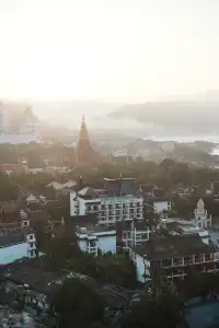 中科院植物園拍照YYDS