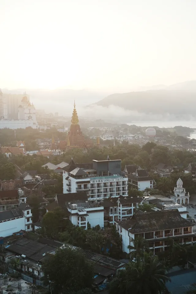 中科院植物園拍照YYDS 中科院植物園拍照YYDS