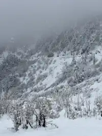 神農架冬日童話|闖入南國最純淨的雪國