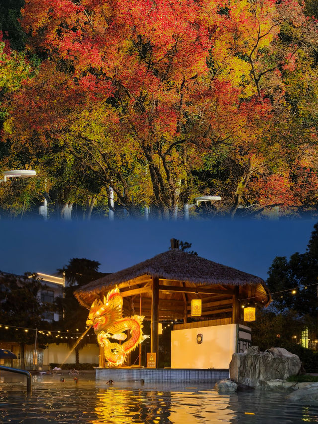 南京湯山朋友以為我在日本泡溫泉 南京湯山朋友以為我在日本泡溫泉