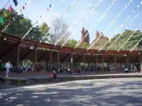 滇池邊的冬日限定浪漫！雲南民族村觀鷗全