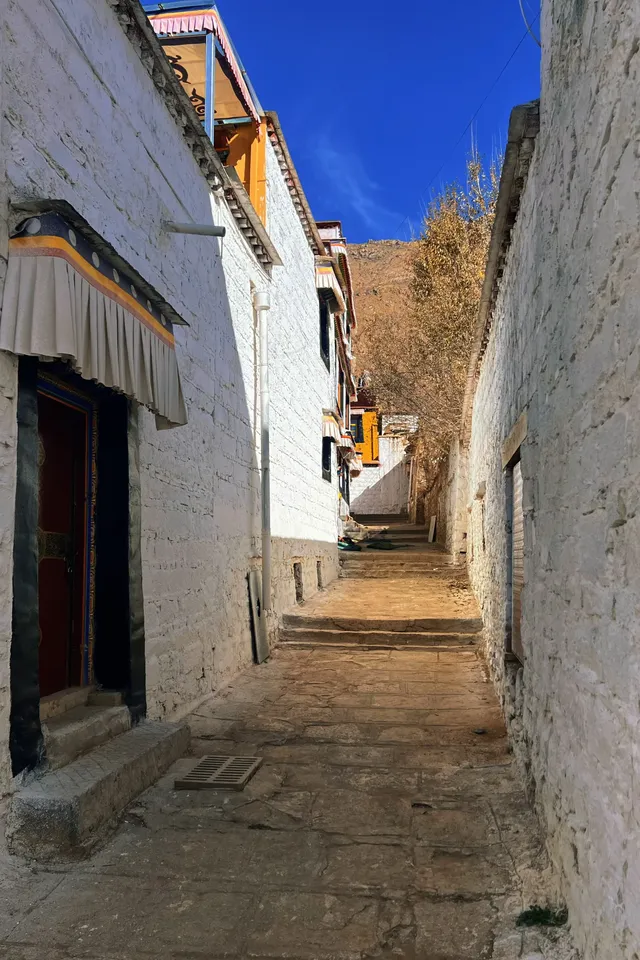 西藏day3|色拉寺 ·冬日拉薩鮮活的午後 西藏day3|色拉寺 ·冬日拉薩鮮活的午後