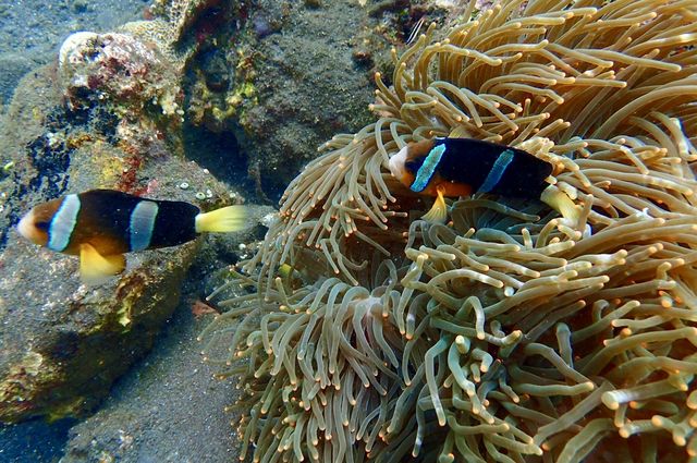 巴厘島,度假天堂 巴厘島,度假天堂