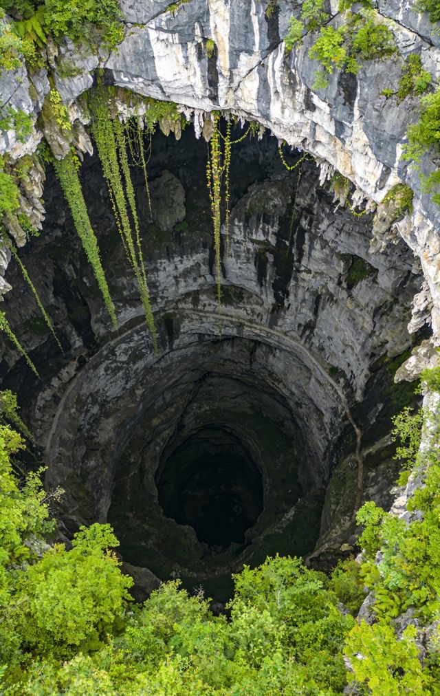 秘境天坑,光之聖殿 秘境天坑,光之聖殿