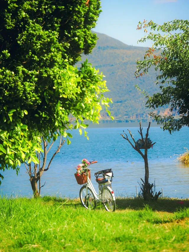 浪漫是大理的常態🩵 浪漫是大理的常態🩵