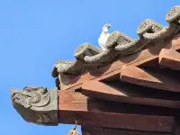 12月1日正定遊之開元寺