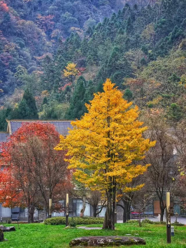 唐家河自然風光漫遊