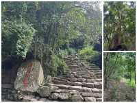 比昆明宜居,比大理清靜!這才是雲南最美慢城養老度假首選