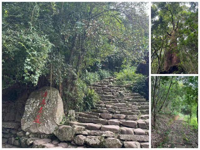 比昆明宜居,比大理清靜!這才是雲南最美慢城養老度假首選 比昆明宜居,比大理清靜!這才是雲南最美慢城養老度假首選