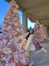 抓住長春的粉色聖誕樹啦 