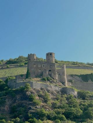 Stroll through Rüdesheim and savor the gentle charm of the Rhine riverside
