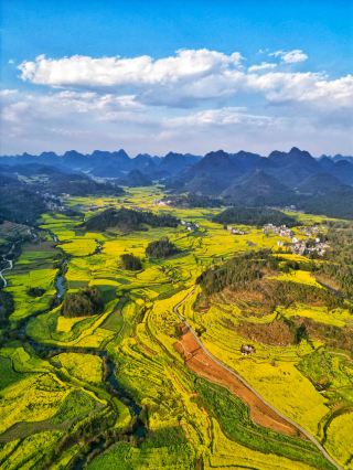 로평 유채꽃 3일 심층 여행 가이드