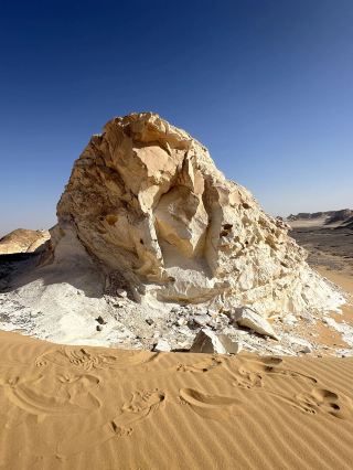 Winter in Morocco with warm sunshine and camels is stunningly beautiful