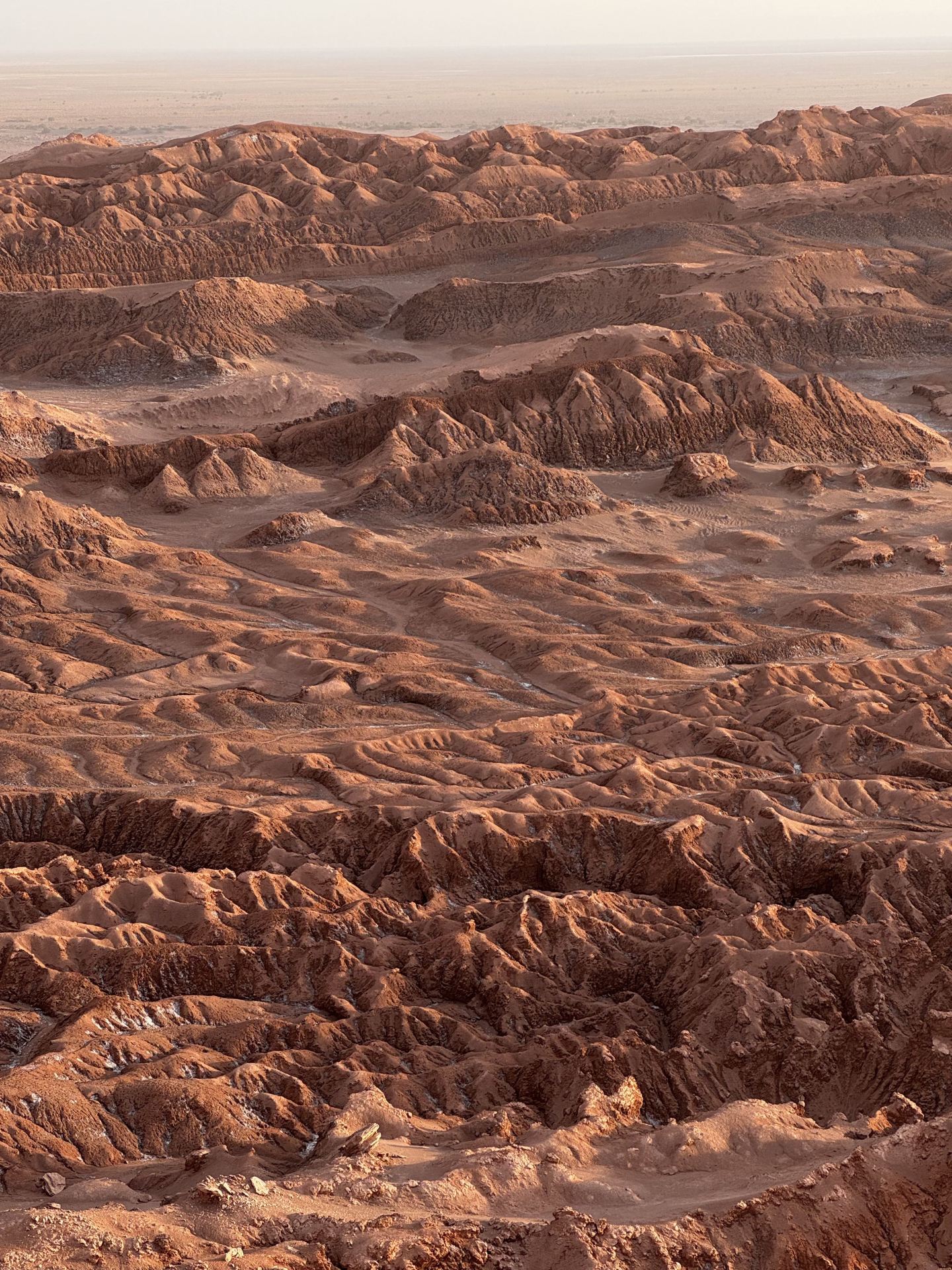 "End of March Peru Independent Travel: Pitfalls That Are Not Worth It"