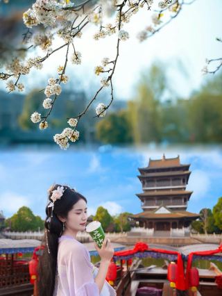 March Spring Outing Guide to Taierzhuang Ancient City (For Lazy Person)