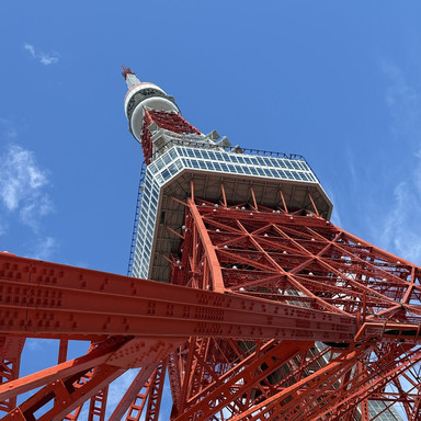 オレンジと白が織りなすアイコニックな絶景、東京タワー。 | Trip.com 東京