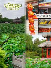 古城赴夏|攬燕趙風華,赴保定人間煙火
