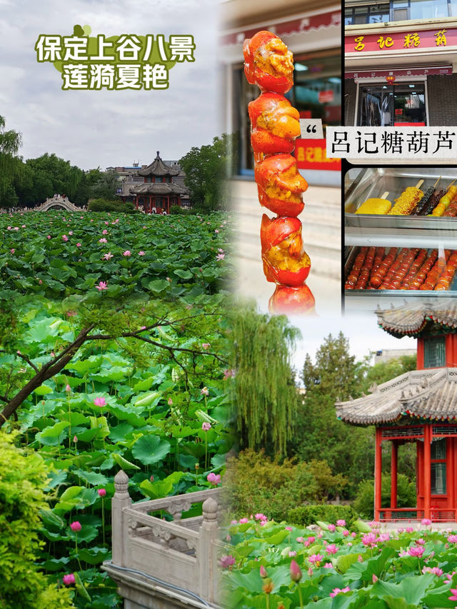古城赴夏|攬燕趙風華,赴保定人間煙火