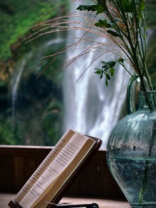 Healed by the romance of Guiyang's mountains and wilderness