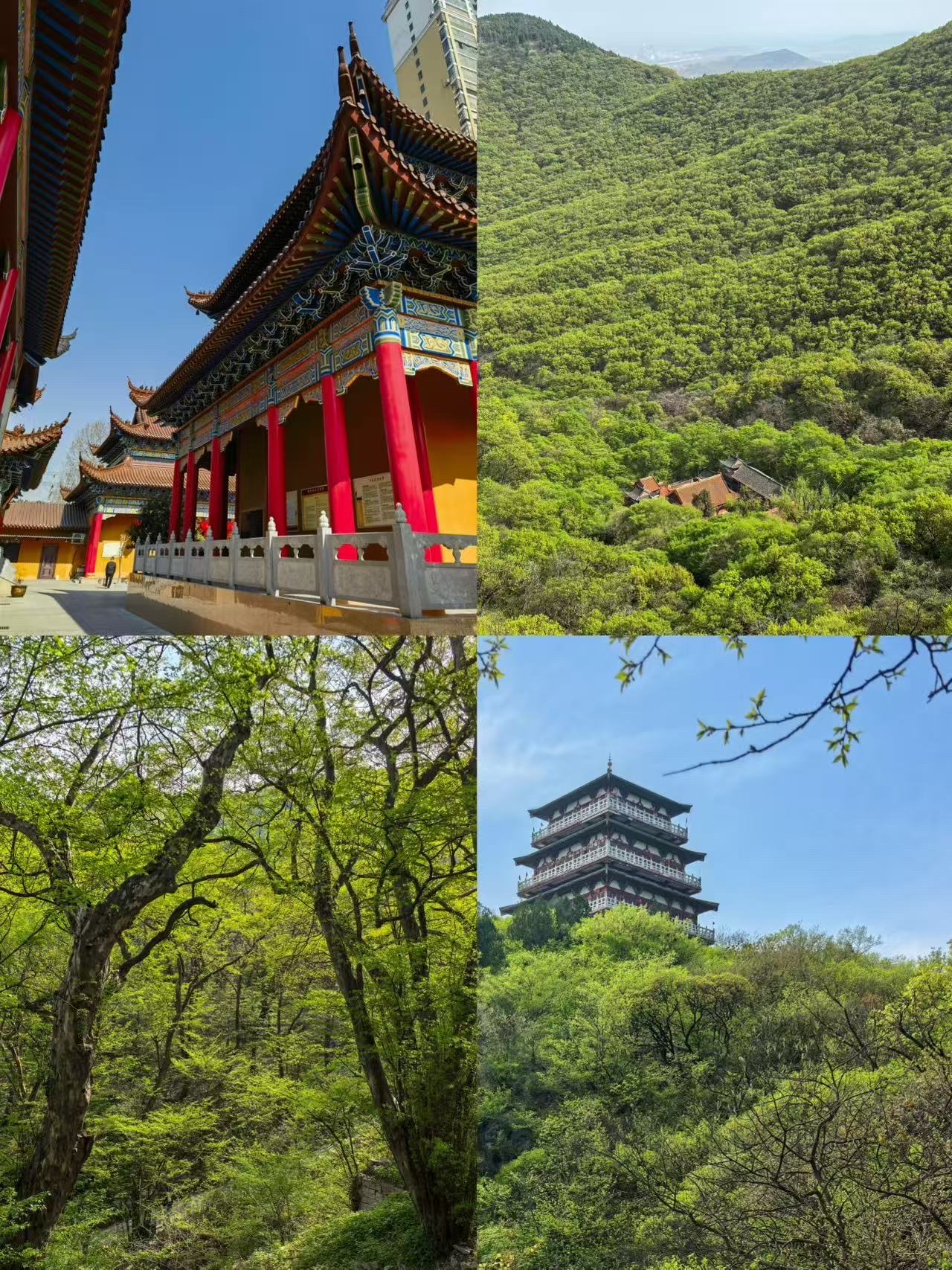 Returned from Suzhou in the off-season—honestly, I don't recommend going in October because it's really…
