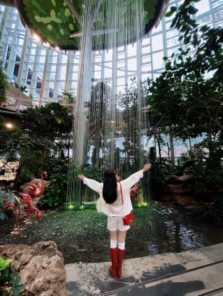 🌳Chongqing The Ring | Stepping into an urban forest aquarium