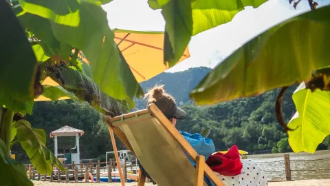 Escape the crowds! Xinxikeng, Jinyun: A colorful fairytale village nestled in nature. The perfect choice for family fun/laid-back vacations!   Location: Xinxikeng, Rongjiang Township, Jinyun, Lishui — traveler post in Lishui