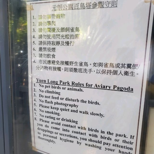 新年好去處之步步高陞。元朗公園百鳥塔