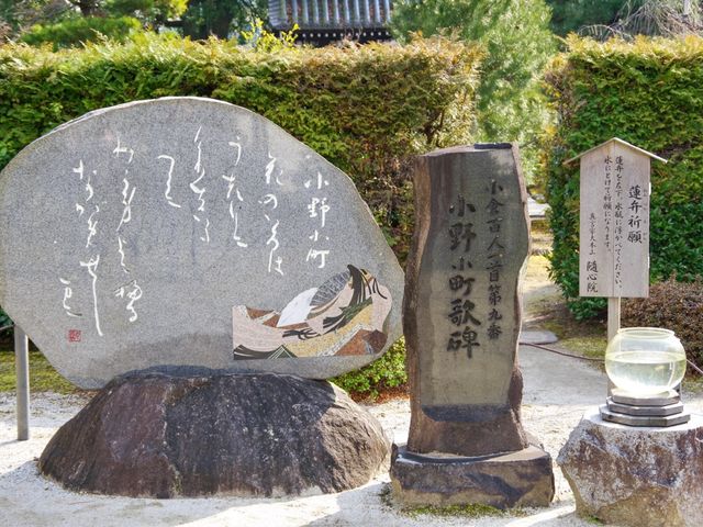 【京都市】艶やかなアートが誘うお寺🎨